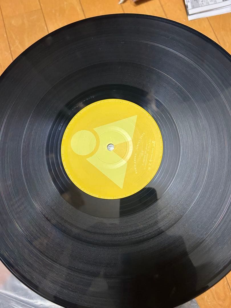 安室奈美恵 GENIUS 2000 レコード（2枚組）