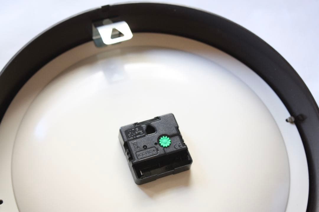 超希少！No Central Screw Type! パラゴトロン