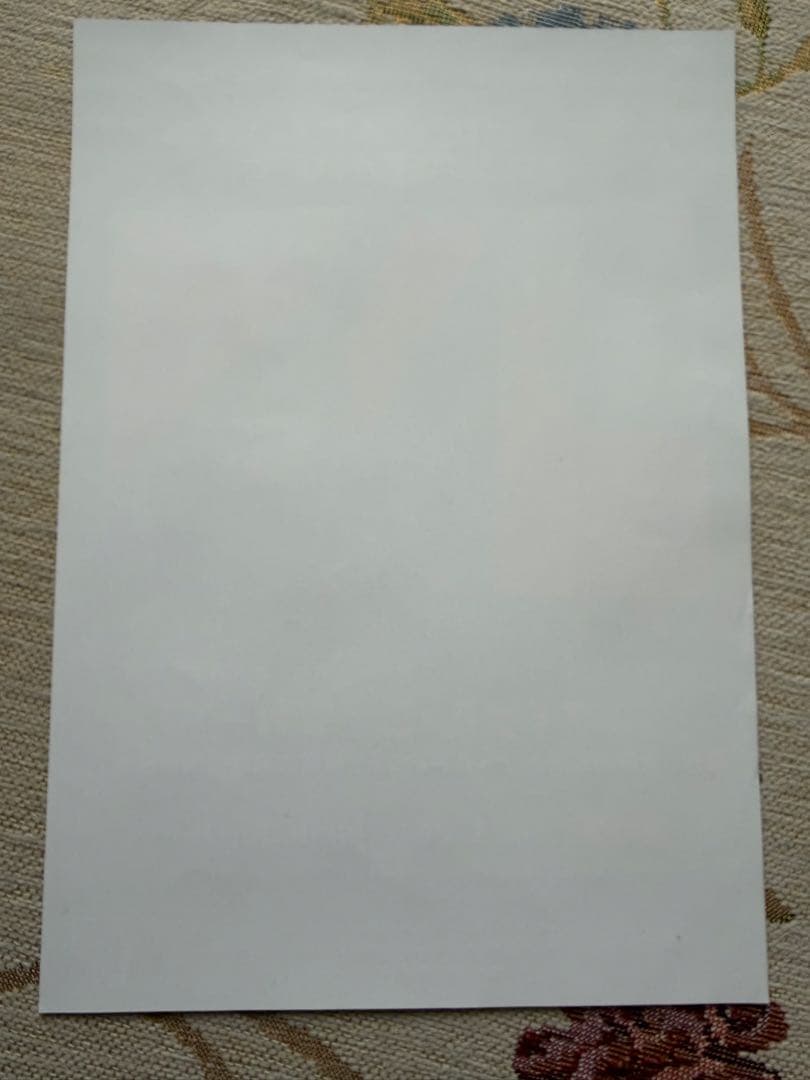 し*け様 マイケル・シェンカー 2026年日本ツアー公式グッズ　ピックセット&キ