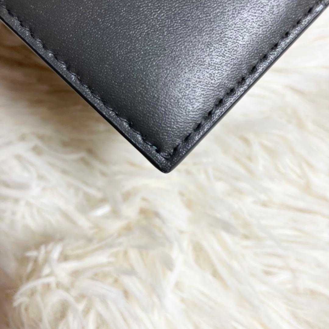 【極美品】ボッテガヴェネタ マネークリップ カセット