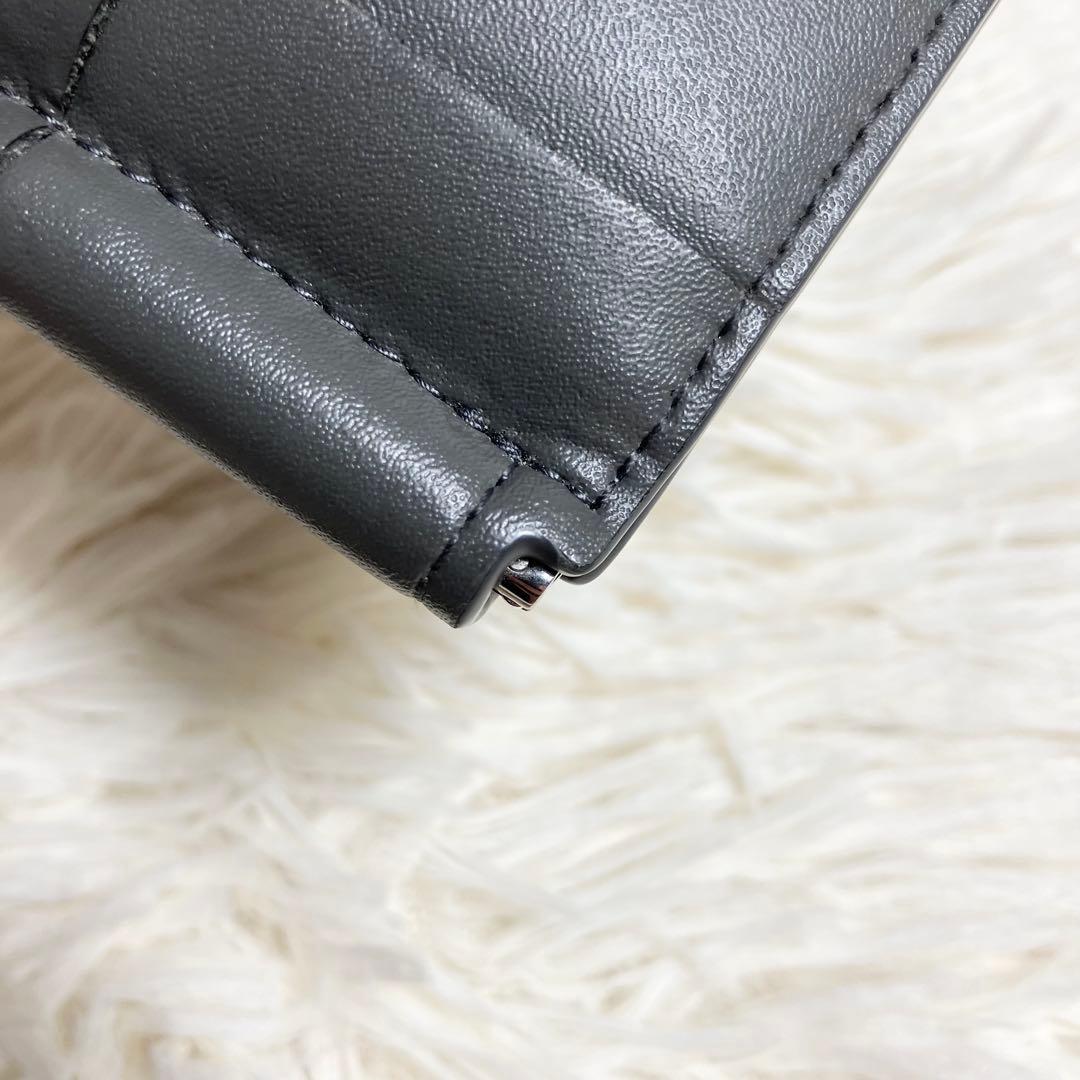 【極美品】ボッテガヴェネタ マネークリップ カセット