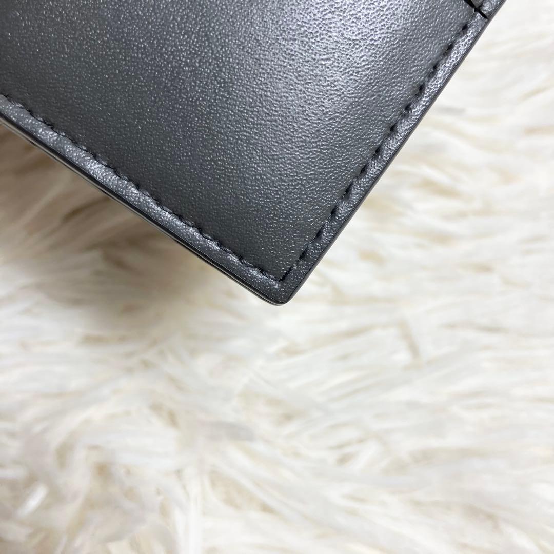 【極美品】ボッテガヴェネタ マネークリップ カセット