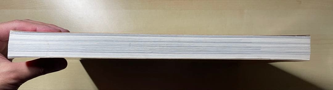 アート・デザイン・音楽 Jim Goldberg Raised by Wolves