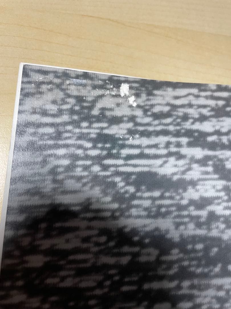 アート・デザイン・音楽 Jim Goldberg Raised by Wolves