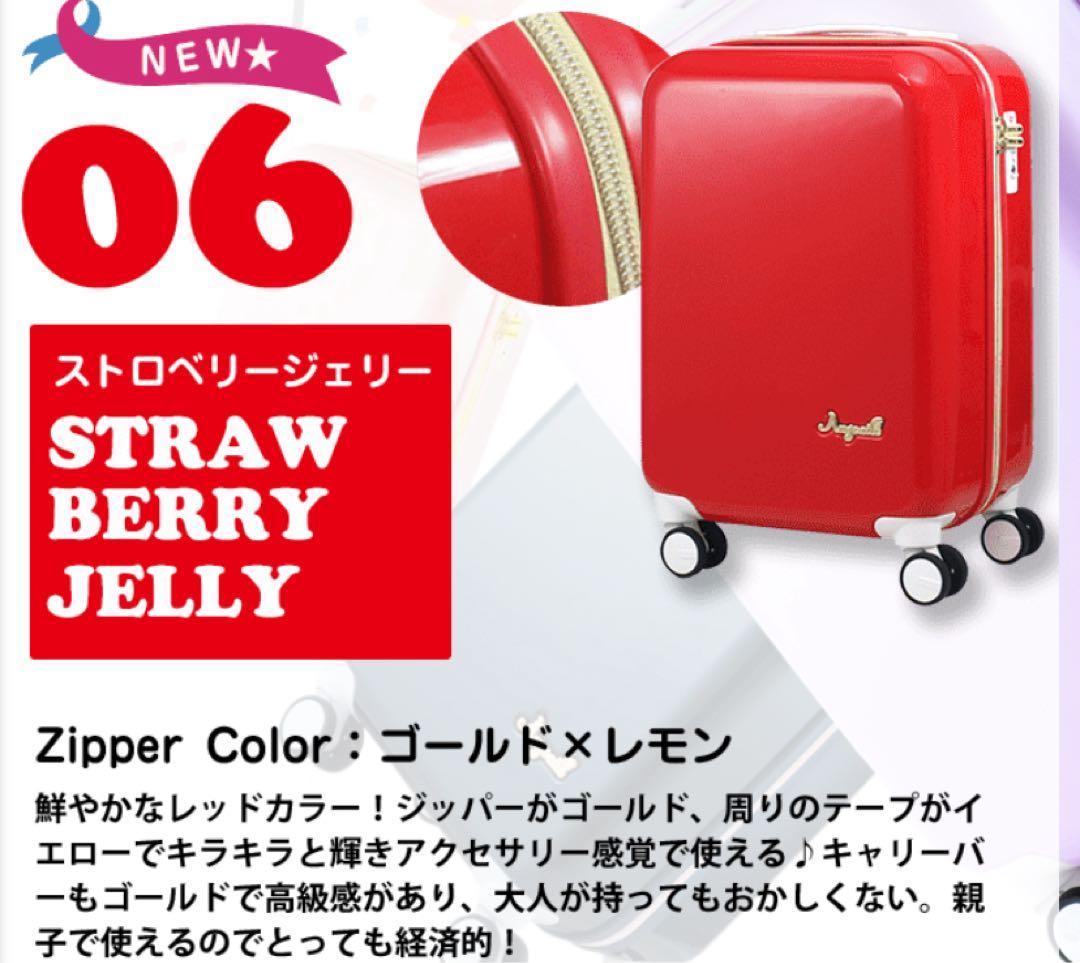 【新品未使用（展示のみ）】プラスワン アンジェール　キャリーケース