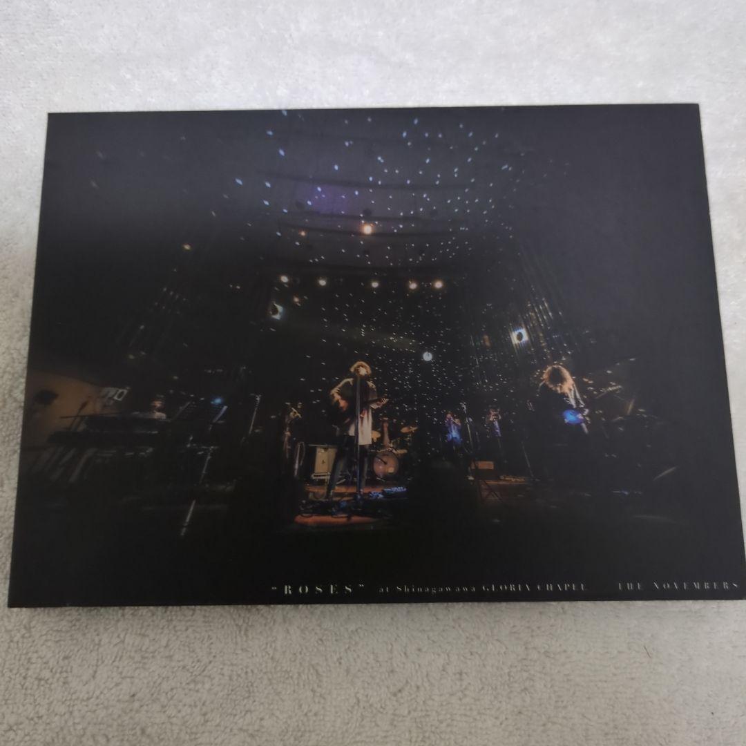 THE NOVEMBERS ROSES 2枚組 CD＋DVD