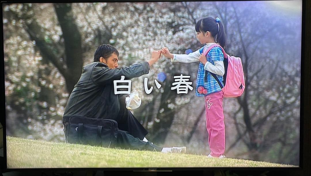 白い春 DVD-BOX〈7枚組〉　阿部寛　大橋のぞみ　 尾崎将也　セル版