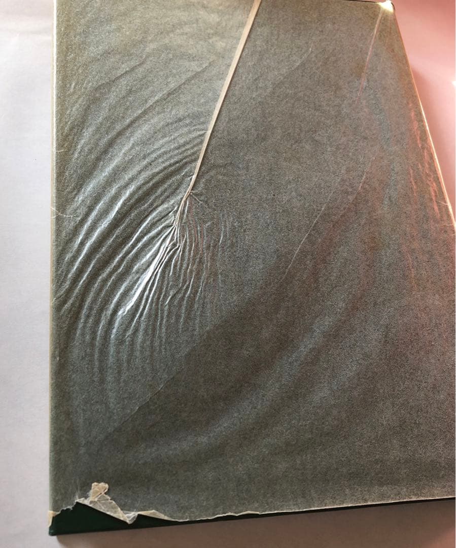 梵我一如への方法論的集大成　シュリ・オーロビンド著