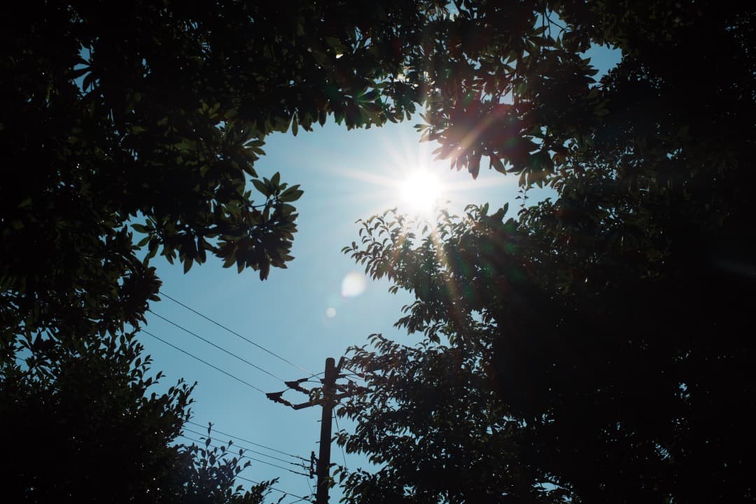 【極美品】Nikon Ai-s Nikkor 50mm F1.2 ニコン 446