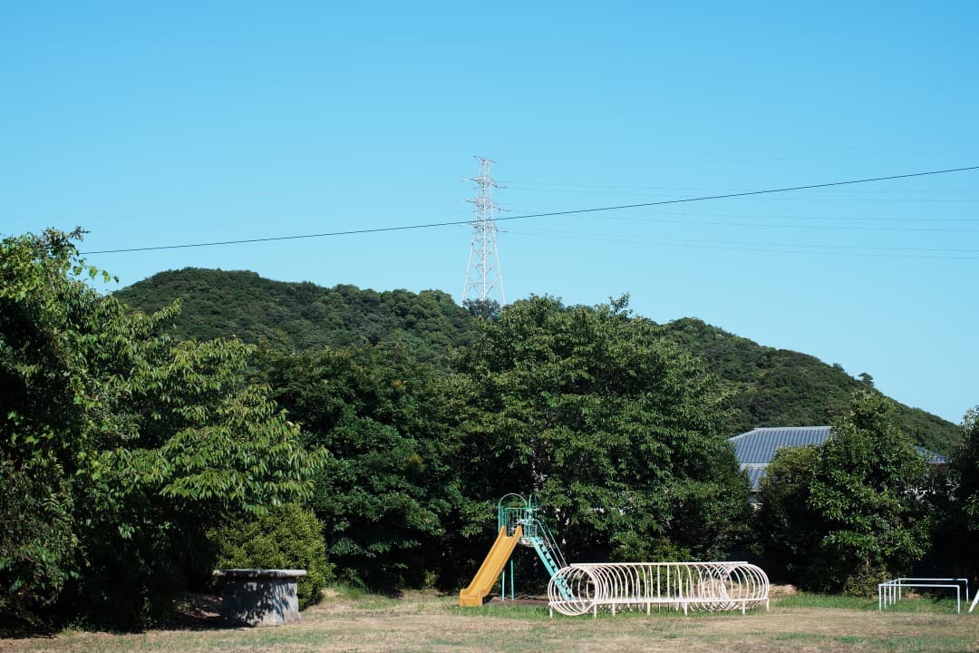 【極美品】Nikon Ai-s Nikkor 50mm F1.2 ニコン 446