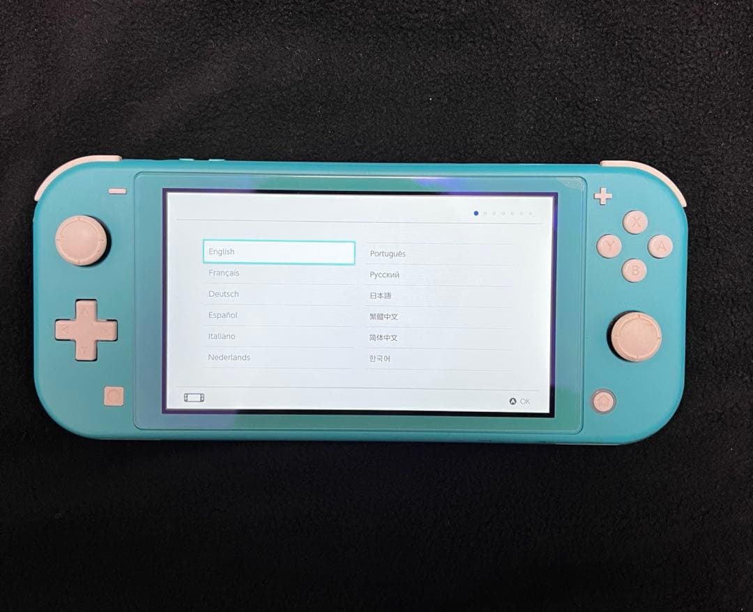 Switchライト　ターコイズ　本体とケースのみ