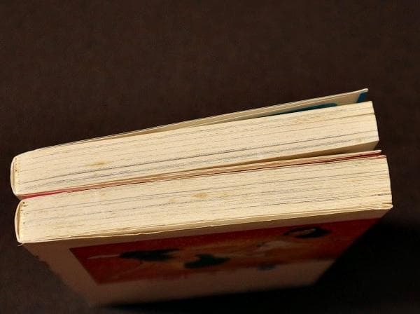 令嬢レスラー　全2巻　中野喜雄　真樹日佐夫　日本文芸社