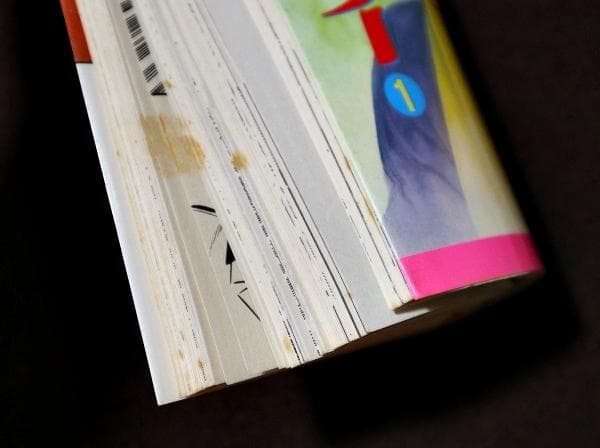 令嬢レスラー　全2巻　中野喜雄　真樹日佐夫　日本文芸社