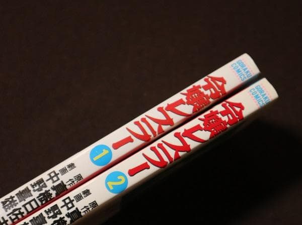 令嬢レスラー　全2巻　中野喜雄　真樹日佐夫　日本文芸社