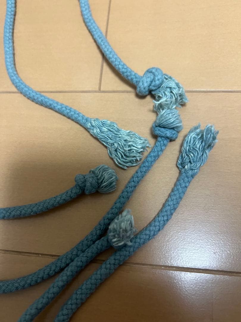 motel rocks parachute パラシュート　カーゴパンツ