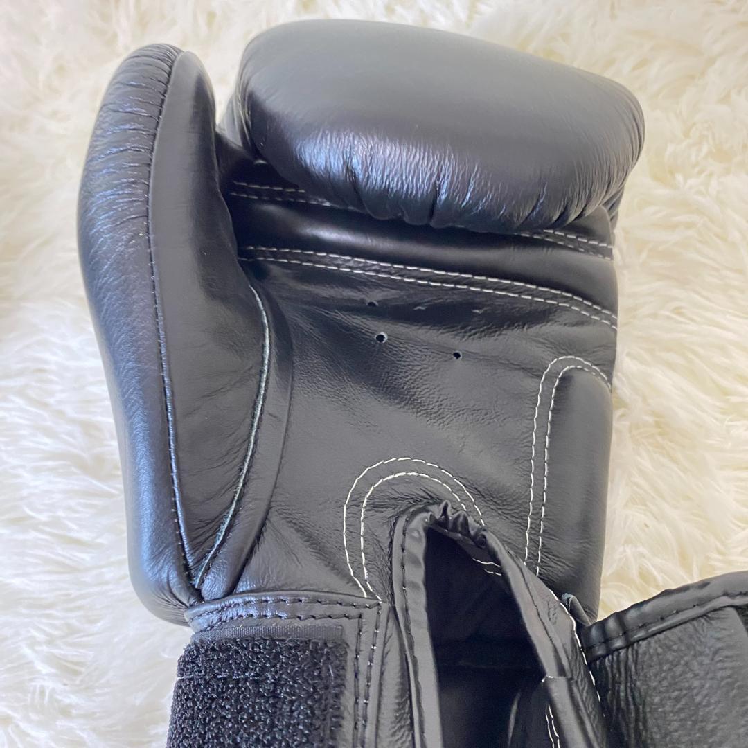 【美品】TWINS SPECIAL ボクシンググローブ 8oz