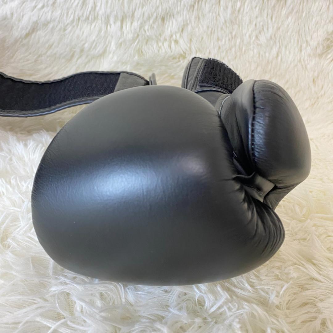 【美品】TWINS SPECIAL ボクシンググローブ 8oz