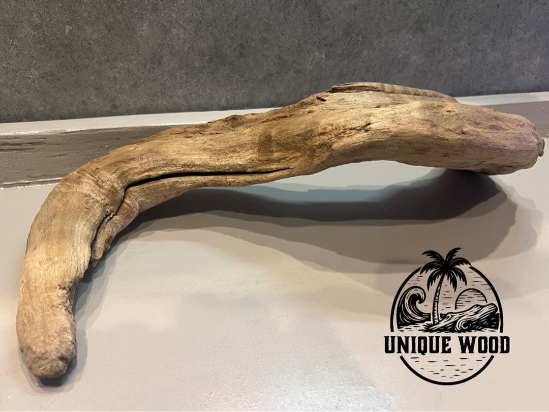 【コエポン】12点まとめ買い