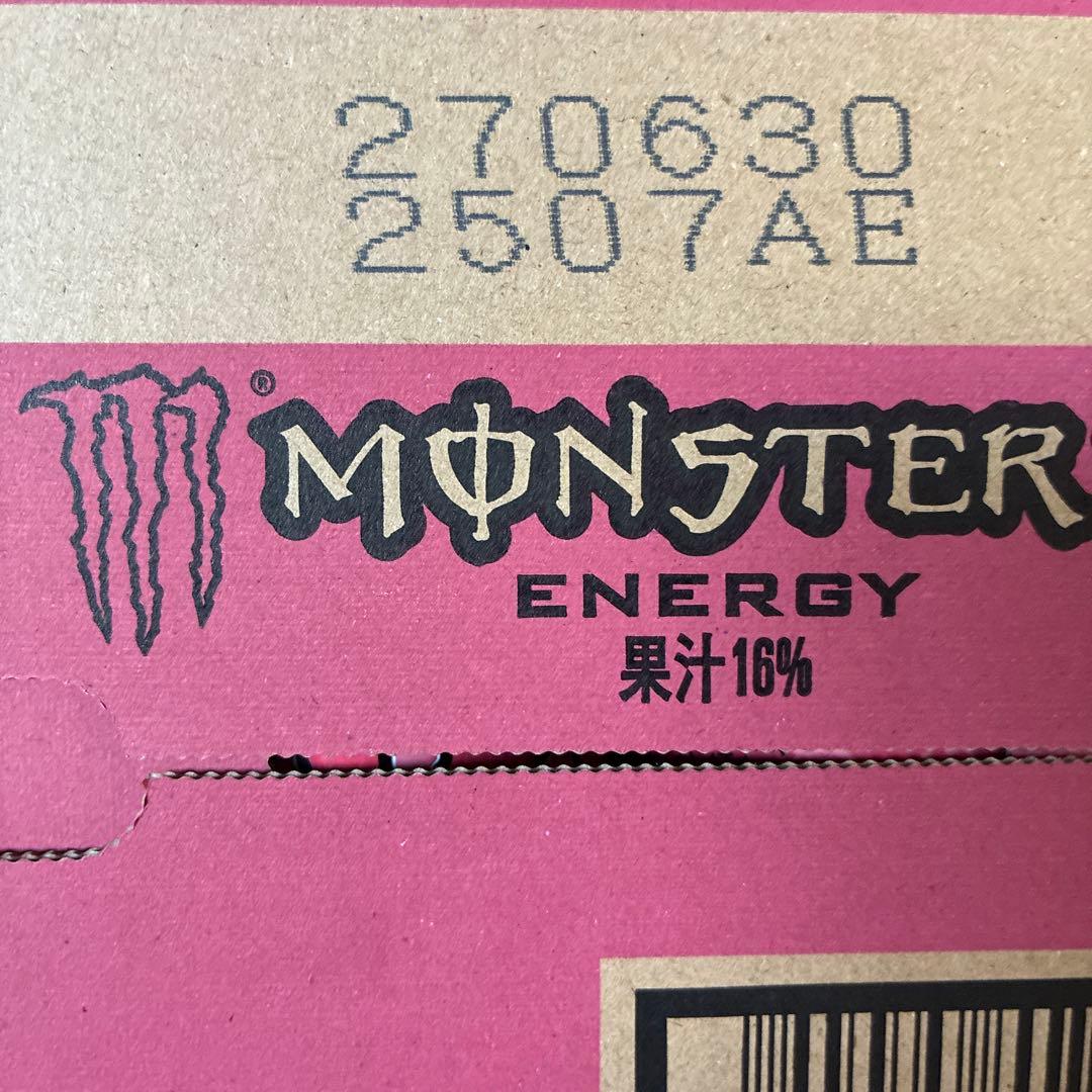 モンスターエナジーパイプラインパンチ355ml24本入り2ケース