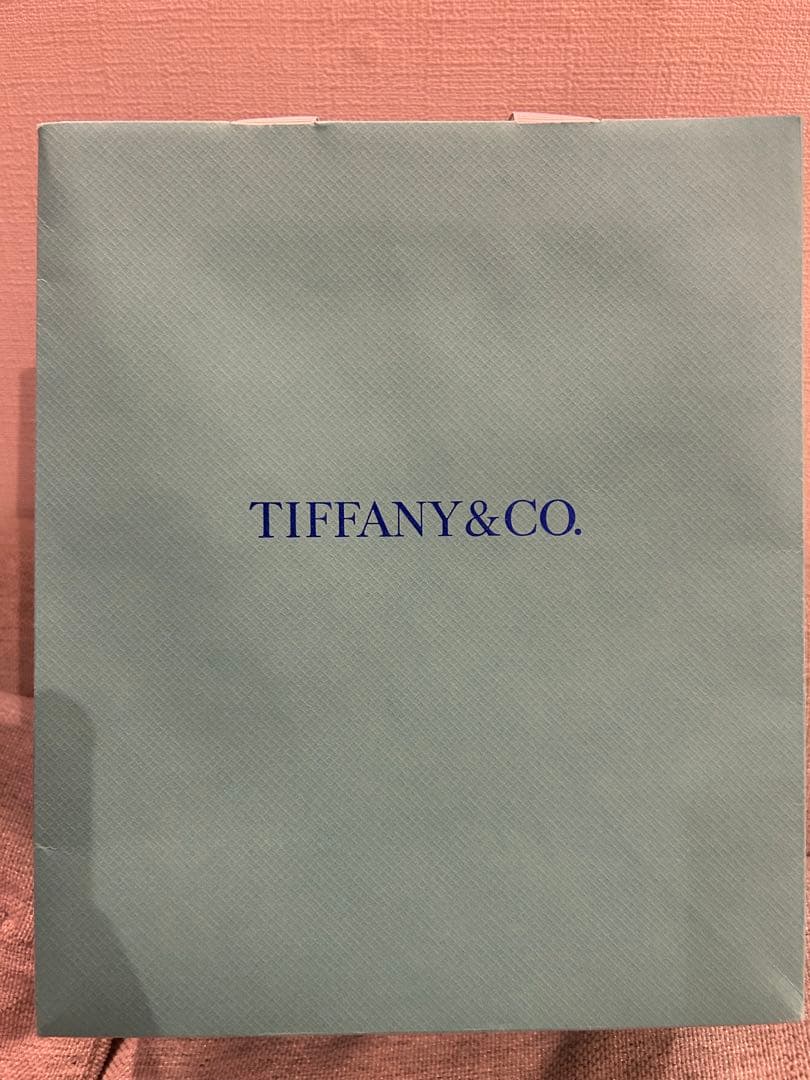 Tiffany & Co. 無限大モチーフ ネックレス