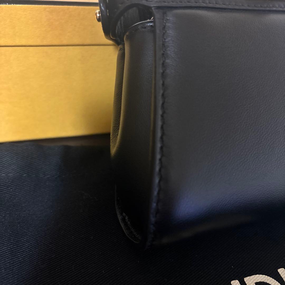 FENDIナノピーカブー