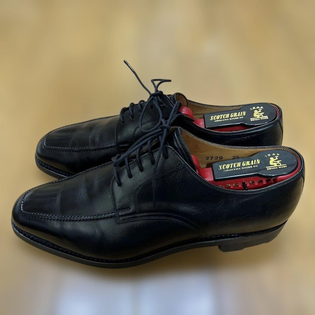 スコッチグレイン 2729 シャインオアレイン