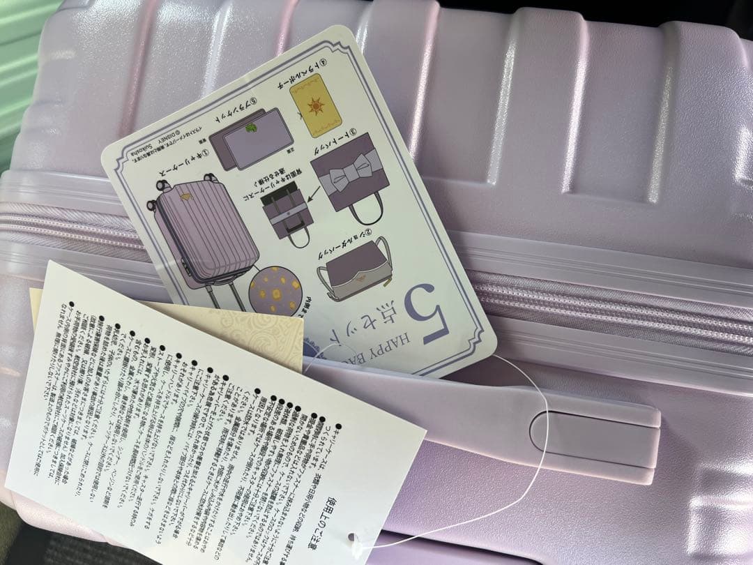 しまむら　ラプンツェル　ハッピーバッグ　ハッピーバック　福袋　ちはる　ディズニー