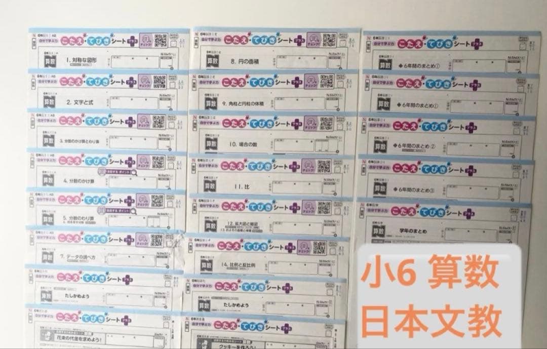 最新版　小6 算数　日本文教　ぶんけい　カラーテスト　答えてびき　21枚