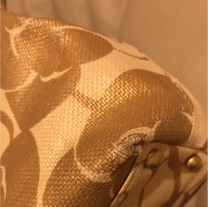 シャネル カメリア　ゴールドバック レア♥︎