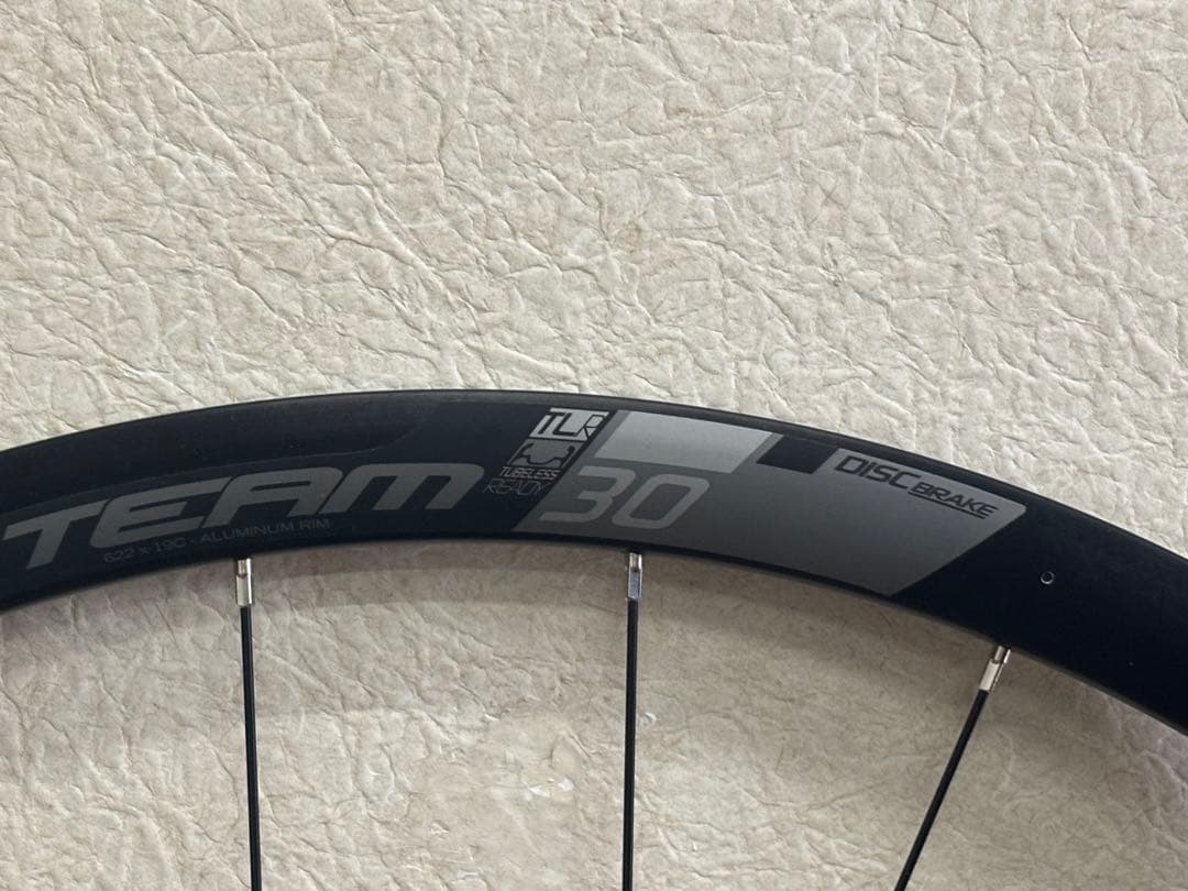 Vision TEAM 30 ディスクブレーキ用完組ホイールセット