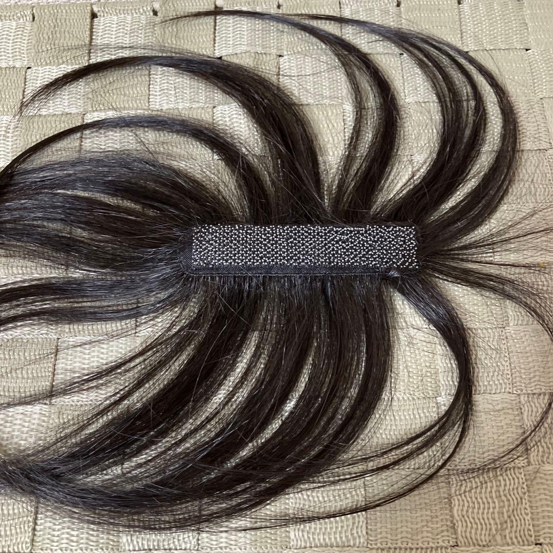 ペスカ チャチャ　ポイントウィッグ テープ付　ショートタイプ　ソフトブラック