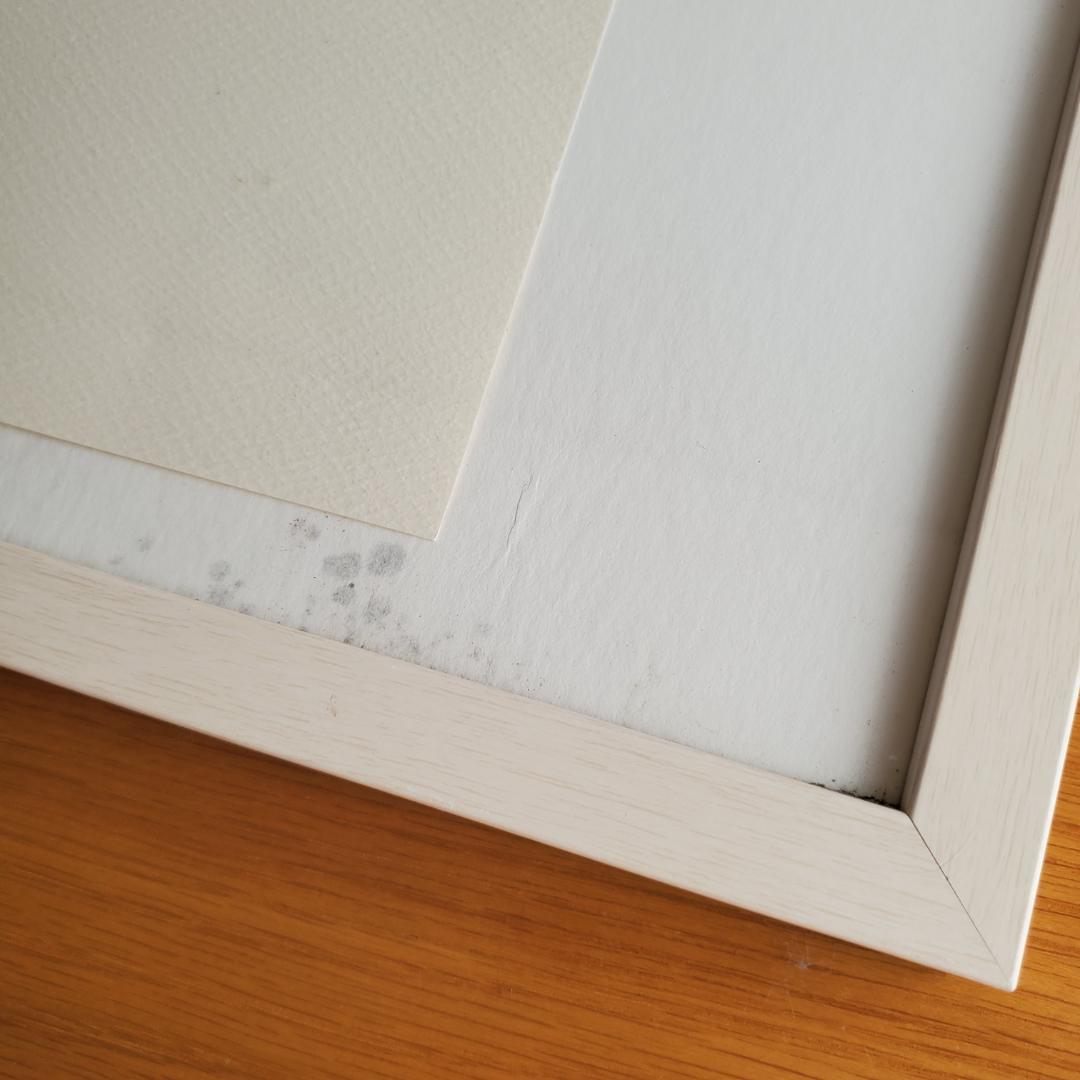 横尾忠則 リトグラフ 夢シリーズ 海底の死 銅版画 直筆サイン 限定20部 額装