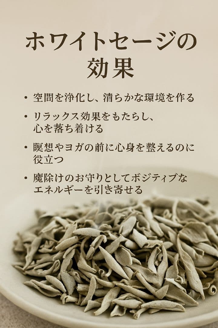 激安価格☆無農薬ホワイトセージ枝付きクラスター1kgお香浄化　業務用価額