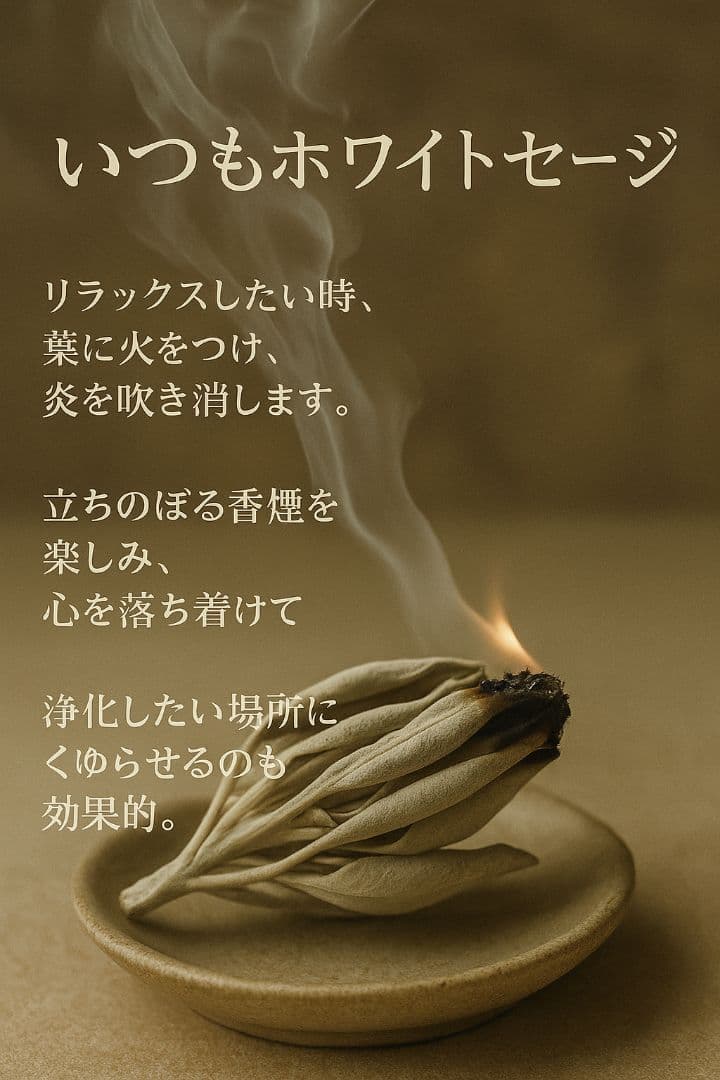 激安価格☆無農薬ホワイトセージ枝付きクラスター1kgお香浄化　業務用価額