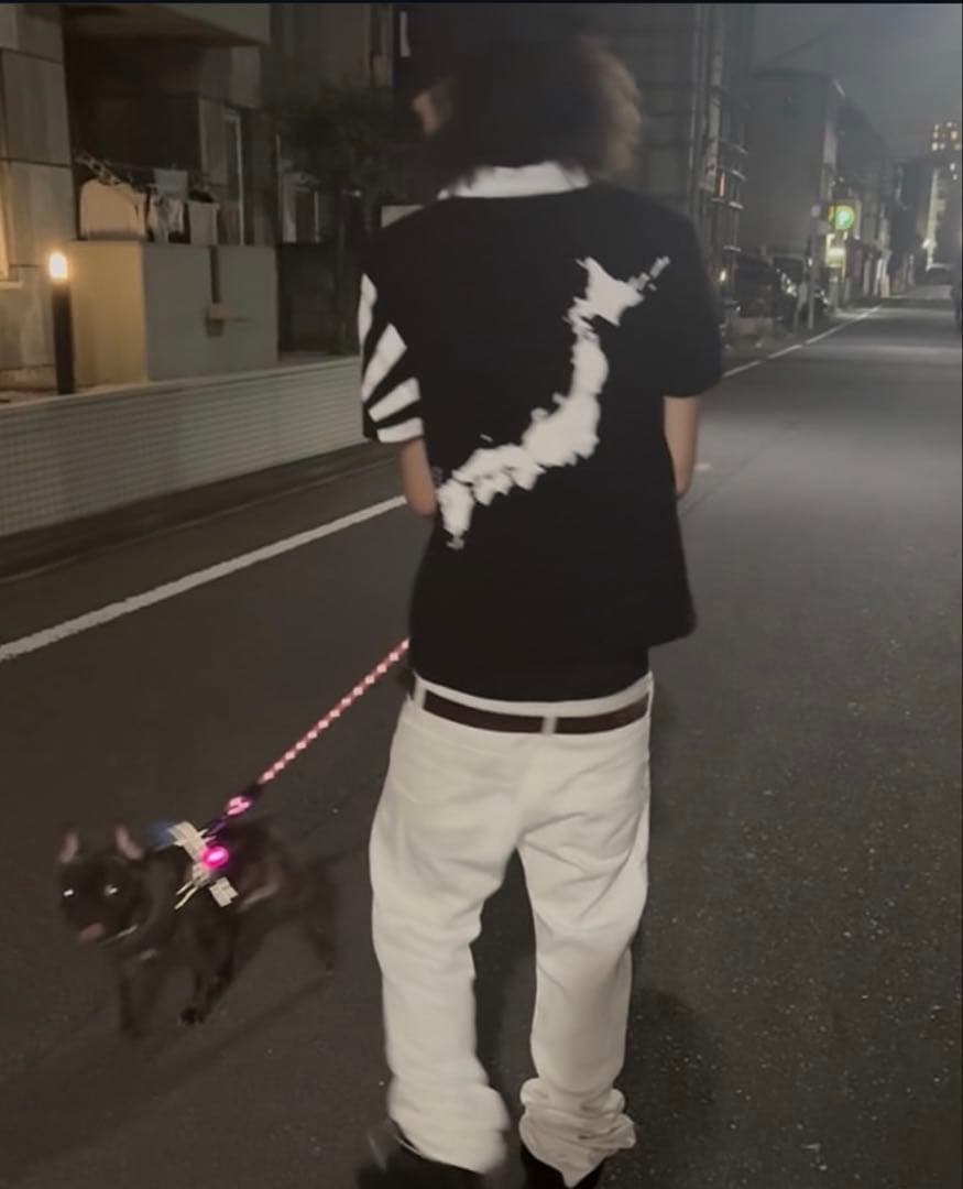 Pedestal 日本地図ポロシャツ