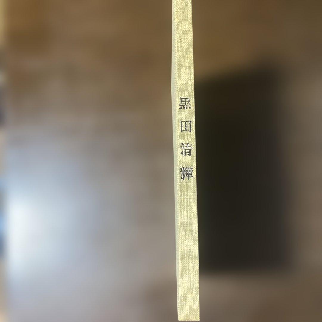 講談社版　日本近代絵画全集　15冊セット 初版と思われます　月報12