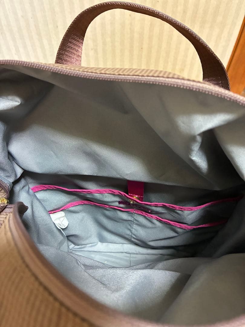 チョコのママ　SWANYスワニー キャリーバッグカート