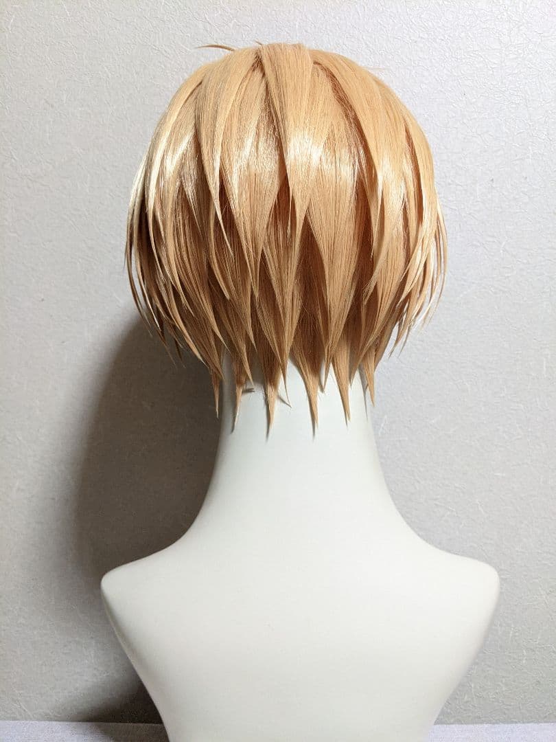 ✠朝倉 シン ウィッグ✠セット済 SAKAMOTODAYS