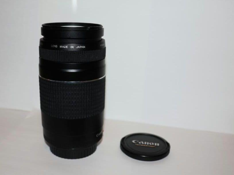 レンズ(ズーム) Canon EF 75-300mm F4-5.6 III USM