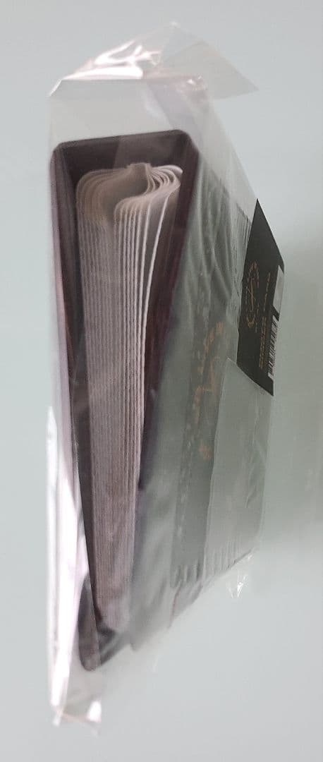 希少品　stray kids　unlock　オンコン　バインダー トレカ　リノ