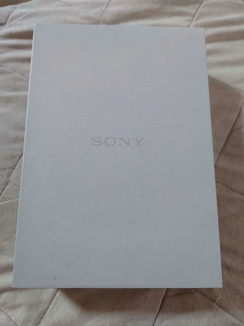 SONY WALKMAN NW-WM1ZM2 中古品