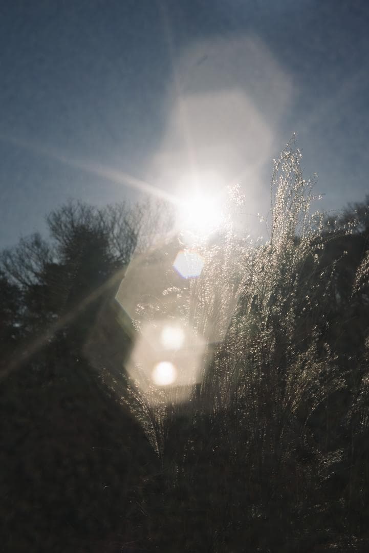 attraction様Leica Summar 50mm F2 オールドレンズ