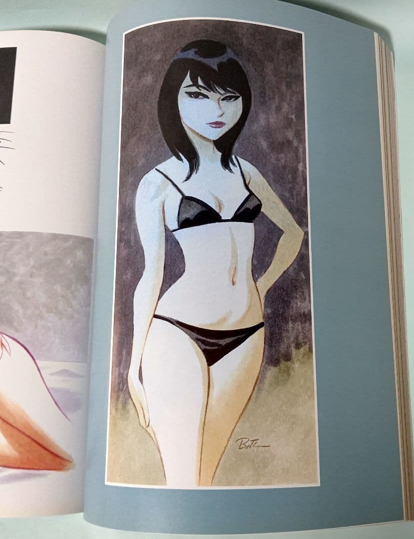 ブルース・ティム画集 The Big Tease