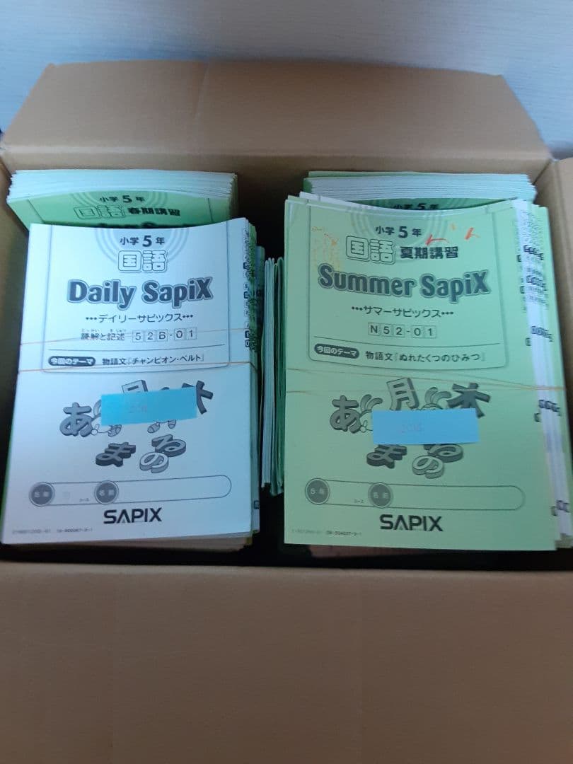 サピックス 小学5年