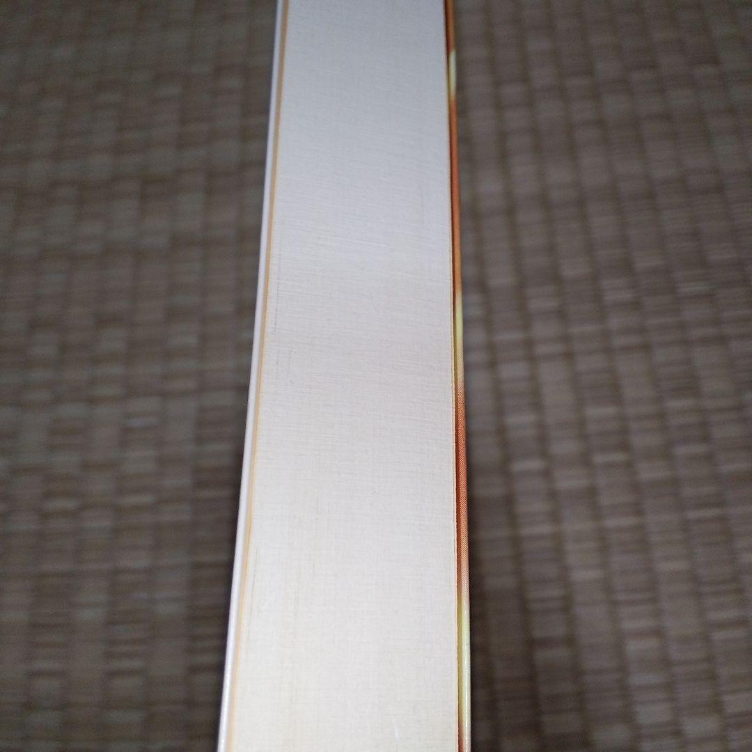 超スピリチュアルな夢実現　トランサーフィン　鏡の超法則　ヴァジム・ゼランド