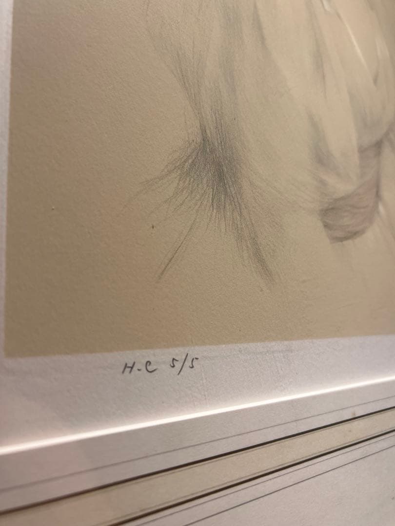 他の方発送×中山忠彦 双花 H.C. 5/5 lithograph