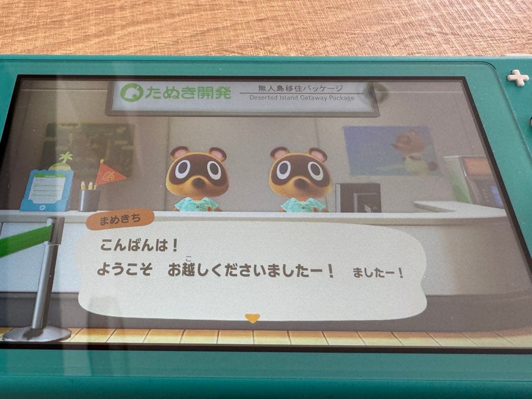 【美品完品】Nintendo Switch Lite 本体　ターコイズ