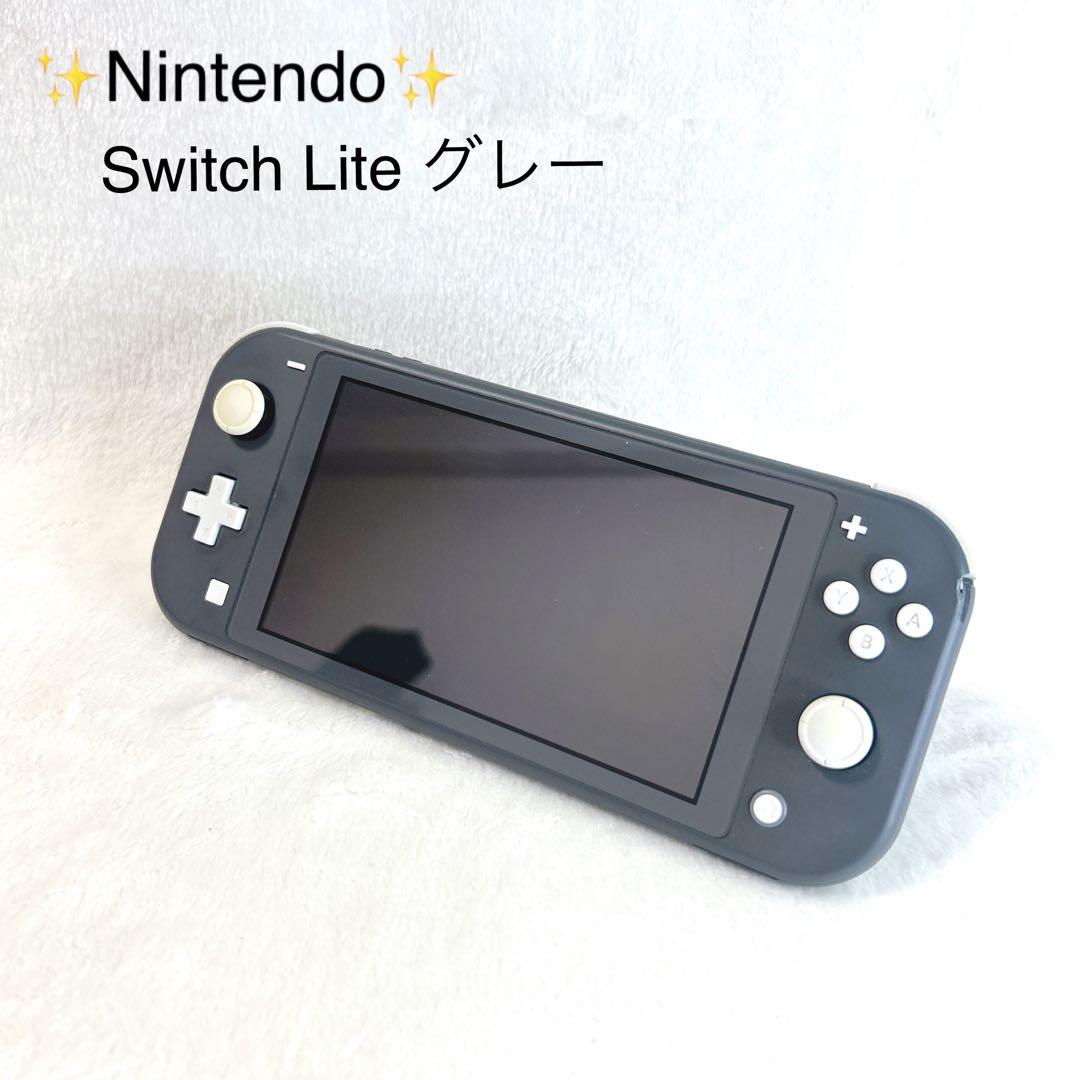 Nintendo Switch Lite グレー スイッチライト 本体