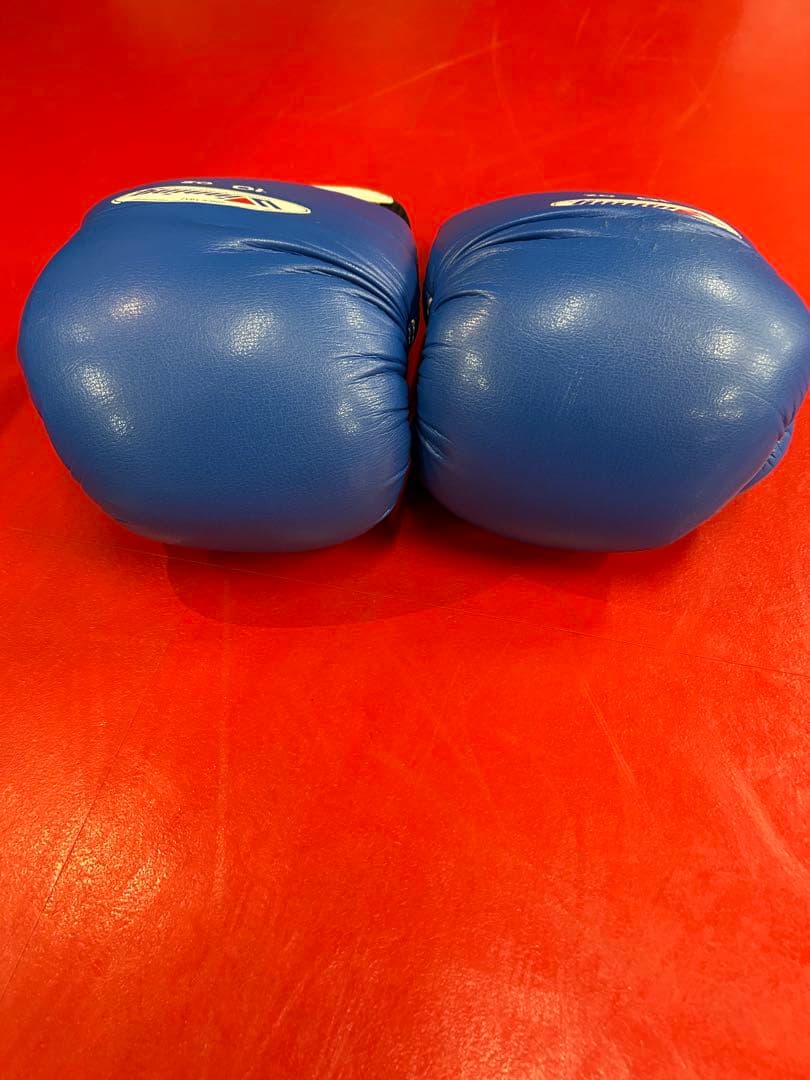 Winning ボクシンググローブ 10 oz 青