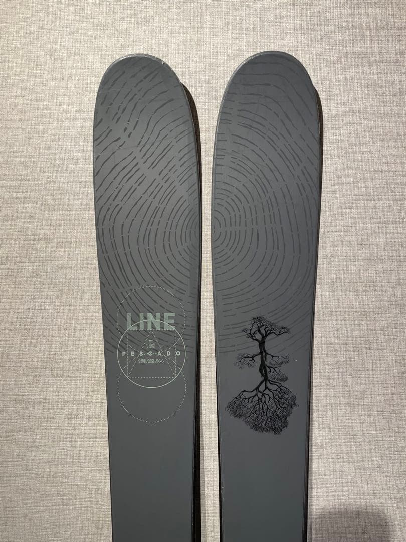 LINE PESCADO ライン　ペスカド　板のみ　美品